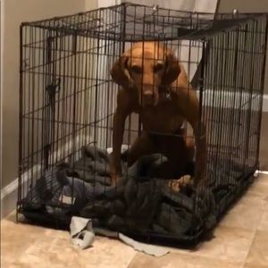 Meet your Posher, Aidan